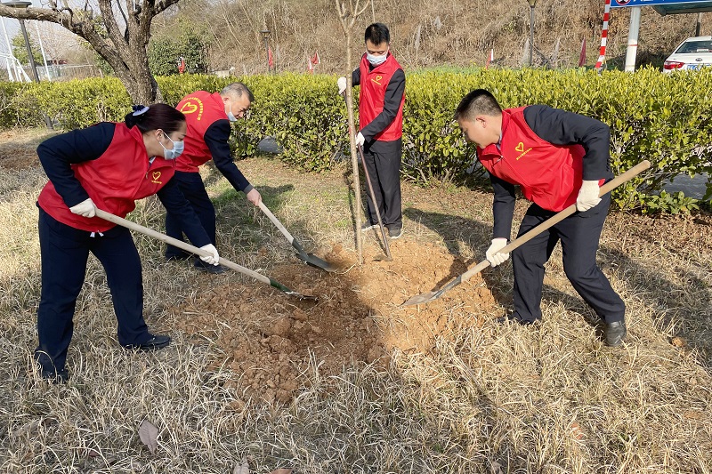 4.第四基层总支组织在所员工开展以“绿色杨寨 家园因你而美”义务植树活动，号召大家行动起来，为大自然增添一抹绿色。.JPG